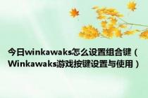 今日winkawaks怎么设置组合键（Winkawaks游戏按键设置与使用）