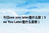 今日see you later是什么歌（See You Later是什么意思）