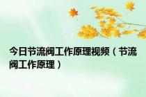 今日节流阀工作原理视频（节流阀工作原理）