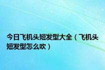 今日飞机头短发型大全（飞机头短发型怎么吹）