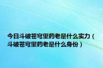 今日斗破苍穹里药老是什么实力（斗破苍穹里药老是什么身份）