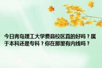 今日青岛理工大学费县校区真的好吗？属于本科还是专科？你在那里有内线吗？