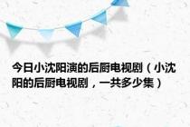 今日小沈阳演的后厨电视剧（小沈阳的后厨电视剧，一共多少集）