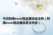 今日利用excel批量重命名文件（利用excel批量重命名文件名）