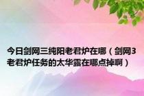 今日剑网三纯阳老君炉在哪（剑网3老君炉任务的太华露在哪点掉啊）