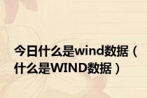 今日什么是wind数据（什么是WIND数据）