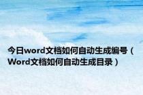 今日word文档如何自动生成编号（Word文档如何自动生成目录）