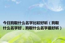 今日狗取什么名字比较好听（狗取什么名字好，狗取什么名字最好听）