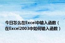 今日怎么在Excel中输入函数（在Excel2003中如何输入函数）