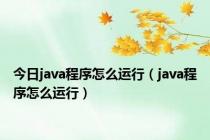 今日java程序怎么运行（java程序怎么运行）