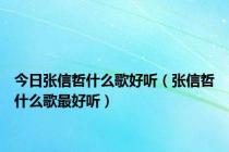 今日张信哲什么歌好听（张信哲什么歌最好听）