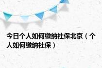 今日个人如何缴纳社保北京（个人如何缴纳社保）