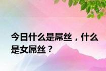 今日什么是屌丝，什么是女屌丝？