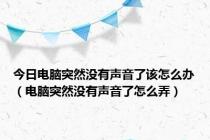 今日电脑突然没有声音了该怎么办（电脑突然没有声音了怎么弄）