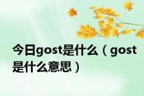 今日gost是什么（gost是什么意思）