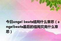 今日angel beats结局什么意思（angelbeats最后的结局究竟什么意思）