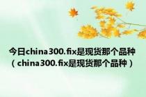 今日china300.fix是现货那个品种（china300.fix是现货那个品种）