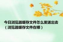 今日浏览器缓存文件怎么发送出去（浏览器缓存文件在哪）