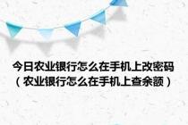 今日农业银行怎么在手机上改密码（农业银行怎么在手机上查余额）