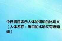 今日眉目表示人体的词语的比喻义（人体名称：眉目的比喻义有谁知道）