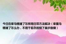 今日在家马桶堵了怎样用日常方法解决（家里马桶堵了怎么办，不用干着急按照下面步骤做）