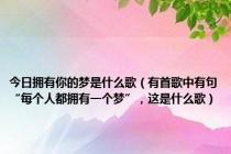 今日拥有你的梦是什么歌（有首歌中有句“每个人都拥有一个梦”，这是什么歌）