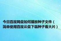 今日百度网盘如何播放种子文件（简单使用百度云盘下载种子看大片）