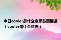 今日cooler是什么意思英语翻译（cooler是什么意思）