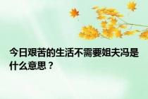 今日艰苦的生活不需要姐夫冯是什么意思？