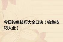 今日钓鱼技巧大全口诀（钓鱼技巧大全）