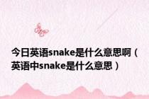 今日英语snake是什么意思啊（英语中snake是什么意思）