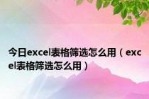 今日excel表格筛选怎么用（excel表格筛选怎么用）