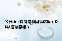 今日dna复制是基因表达吗（DNA复制是指）