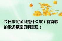 今日歌词宝贝是什么歌（有首歌的歌词是宝贝啊宝贝）