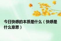 今日快感的本质是什么（快感是什么意思）