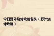 今日野外烧烤攻略包头（野外烧烤攻略）