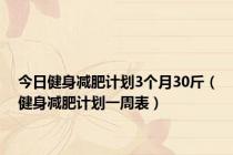 今日健身减肥计划3个月30斤（健身减肥计划一周表）