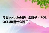 今日poloclub是什么牌子（POLOCLUB是什么牌子）