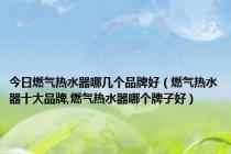 今日燃气热水器哪几个品牌好（燃气热水器十大品牌,燃气热水器哪个牌子好）