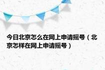 今日北京怎么在网上申请摇号（北京怎样在网上申请摇号）