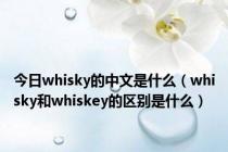 今日whisky的中文是什么（whisky和whiskey的区别是什么）