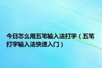 今日怎么用五笔输入法打字（五笔打字输入法快速入门）