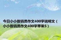 今日小小推销员作文400字说明文（小小推销员作文400字苹果5）