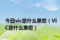 今日vic是什么意思（VIC是什么意思）