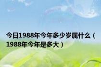 今日1988年今年多少岁属什么（1988年今年是多大）