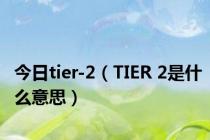 今日tier-2（TIER 2是什么意思）