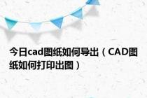 今日cad图纸如何导出（CAD图纸如何打印出图）