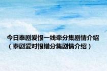 今日泰剧爱恨一线牵分集剧情介绍（泰剧爱对恨错分集剧情介绍）