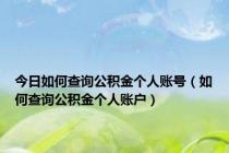 今日如何查询公积金个人账号（如何查询公积金个人账户）