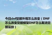 今日dnf觉醒外观怎么改变（DNF怎么改变觉醒模型DNF怎么取消觉醒装扮）